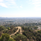 Illustration for article titled Griffith Park Photodump
